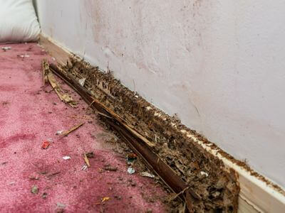 About Aqua Response Recovery - water damage restoration experts in Gravenhurst